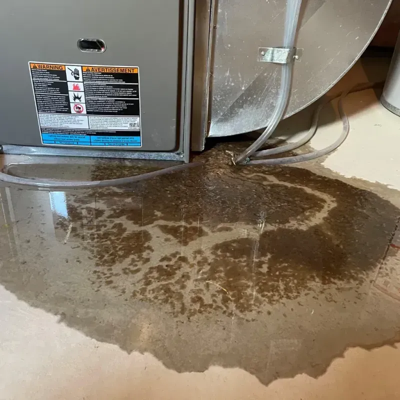 Appliance Leak Cleanup in Henry County, IN